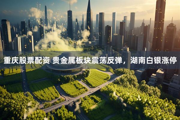 重庆股票配资 贵金属板块震荡反弹，湖南白银涨停