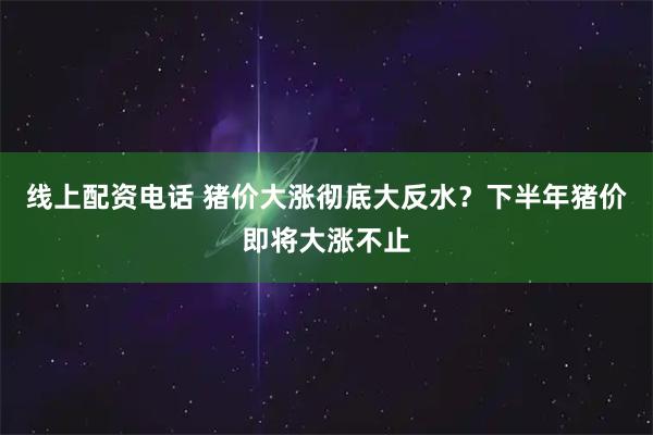线上配资电话 猪价大涨彻底大反水？下半年猪价即将大涨不止