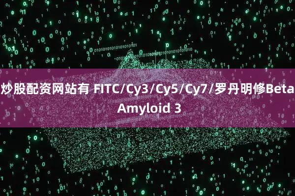 炒股配资网站有 FITC/Cy3/Cy5/Cy7/罗丹明修Beta Amyloid 3