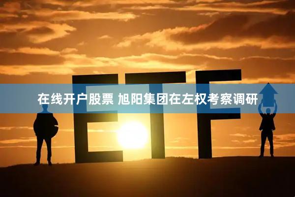 在线开户股票 旭阳集团在左权考察调研