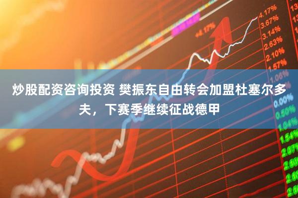 炒股配资咨询投资 樊振东自由转会加盟杜塞尔多夫，下赛季继续征战德甲